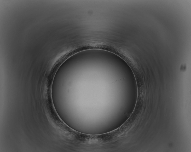 X0000093490587200710191229