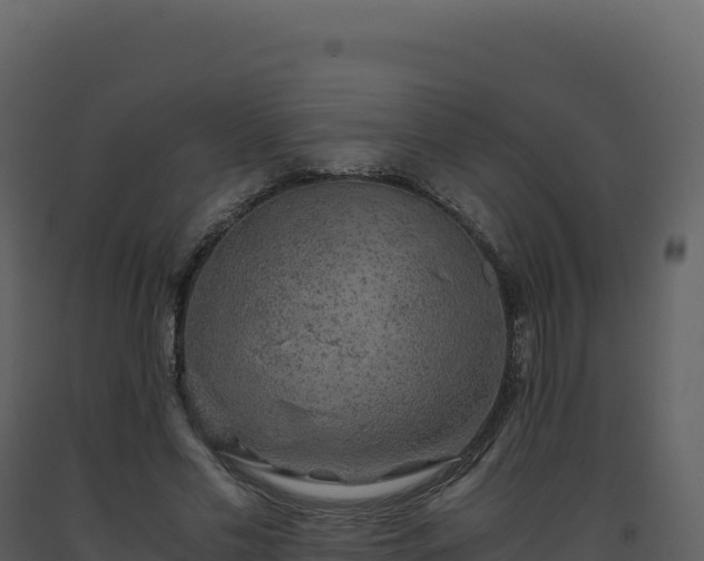 X0000093490589200710191229