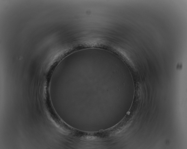 X0000093490590200710191229