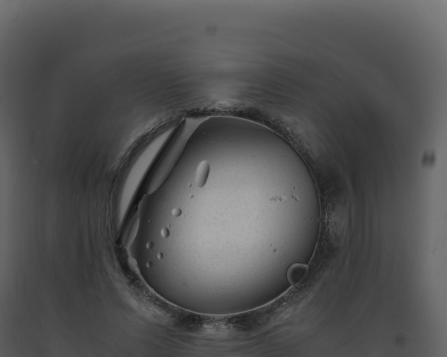 X0000093490591200710191229