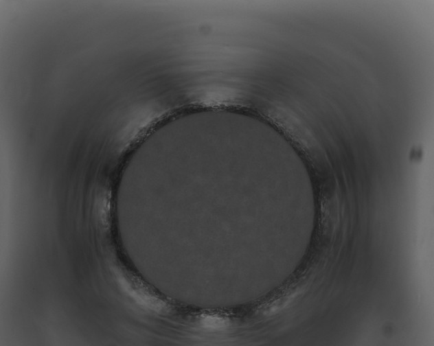 X0000093490592200710191229