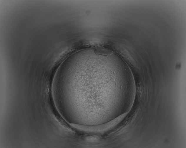 X0000093490593200710191229