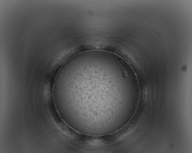 X0000093490594200710191229