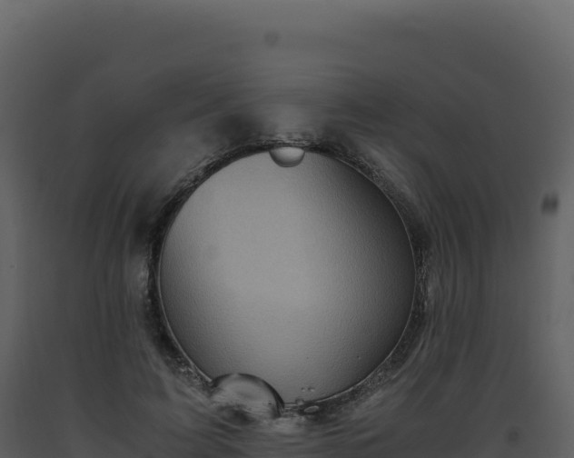 X0000093490595200710191229