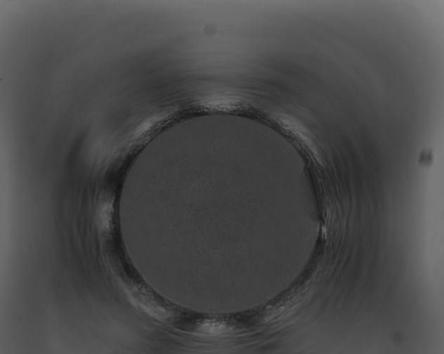 X0000093490596200710191229