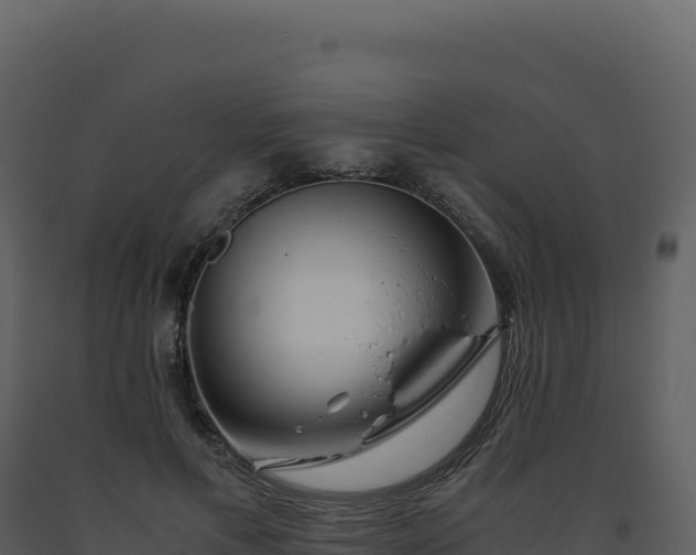 X0000093490597200710191229