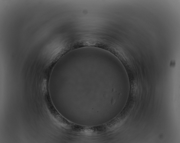 X0000093490598200710191229