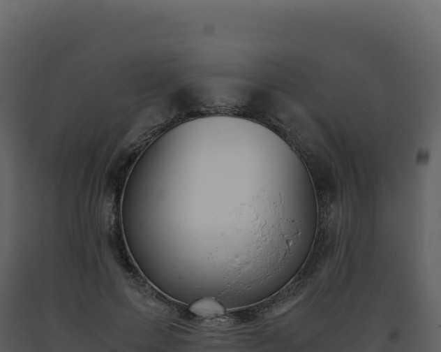 X0000093490599200710191229