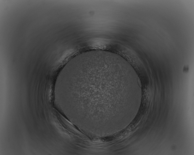 X0000093490600200710191229