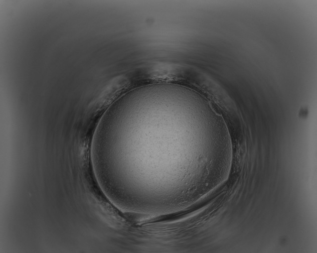 X0000093490601200710191229