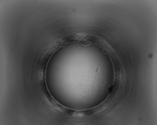 X0000093490602200710191229