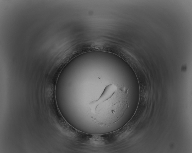 X0000093490603200710191229