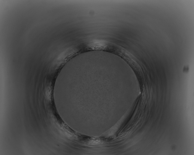 X0000093490604200710191229