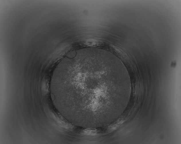 X0000093490606200710191229