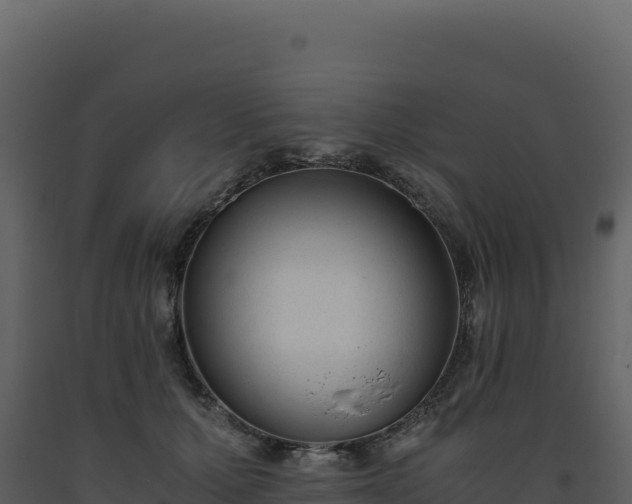 X0000093490607200710191229