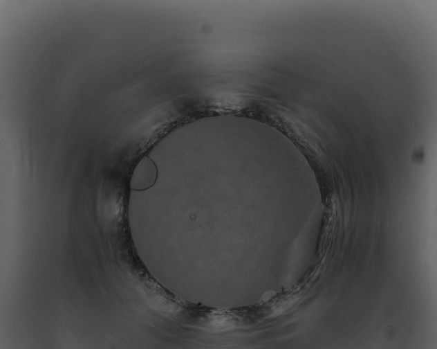 X0000093490608200710191229