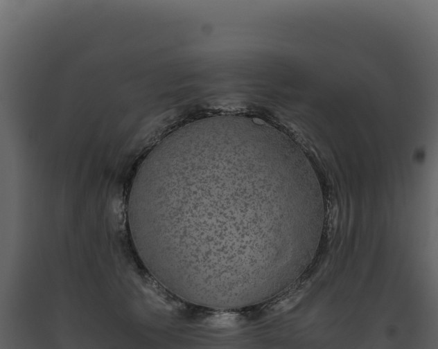 X0000093490609200710191229