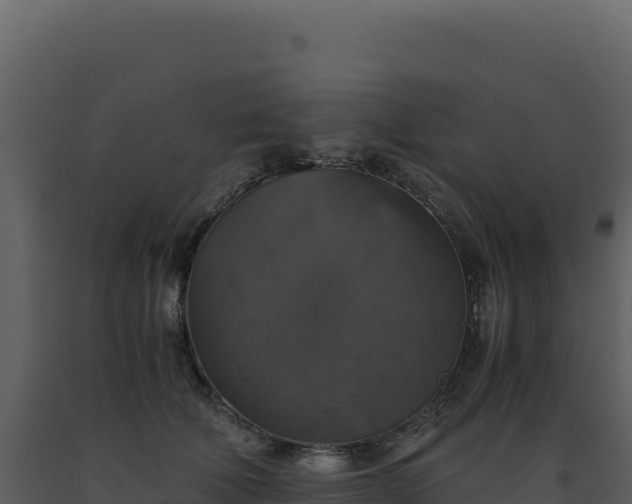 X0000093490610200710191229