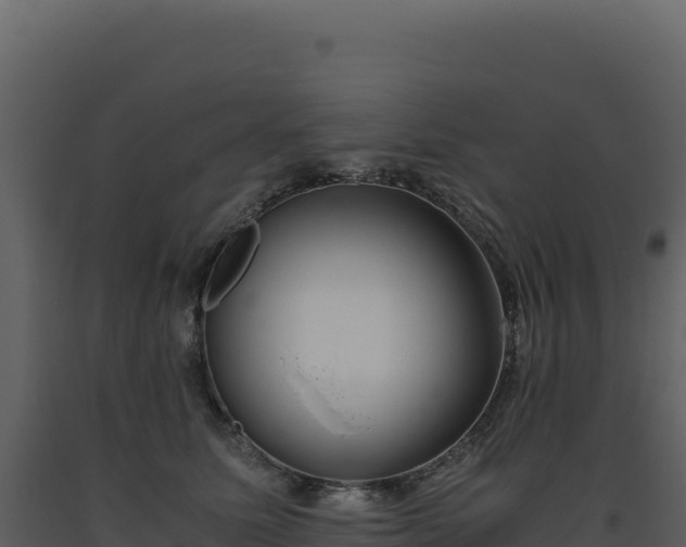 X0000093490611200710191229