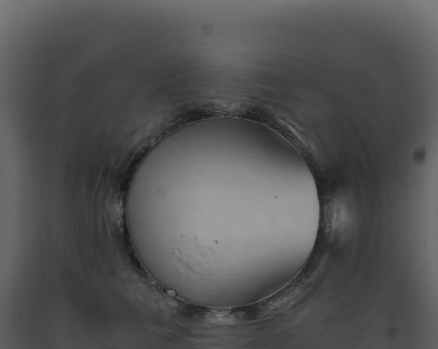 X0000093490613200710191228