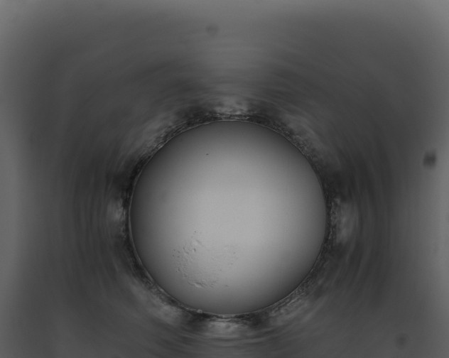 X0000093490614200710191228