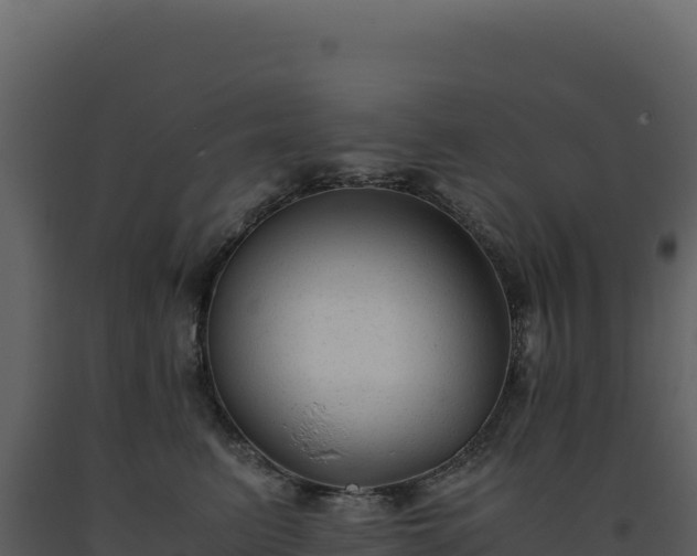 X0000093490615200710191228