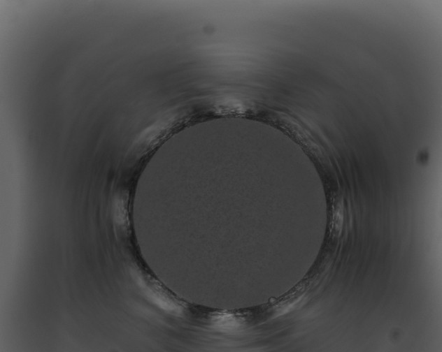 X0000093490616200710191228