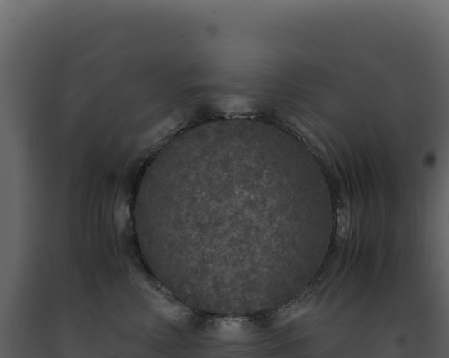 X0000093490618200710191228