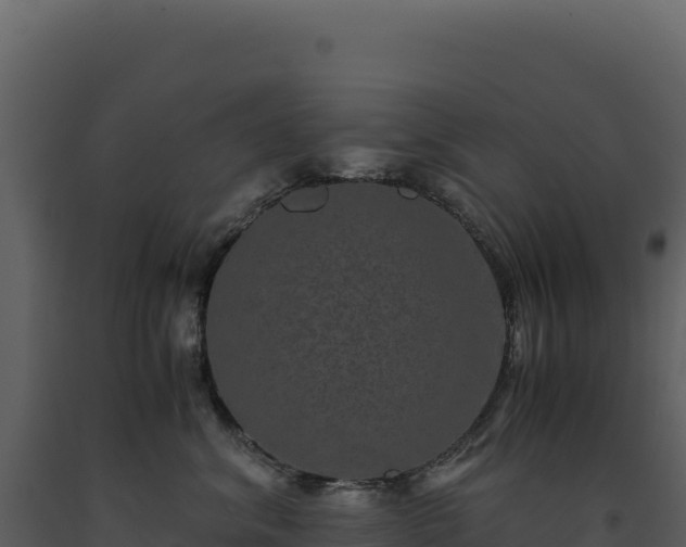 X0000093490620200710191228