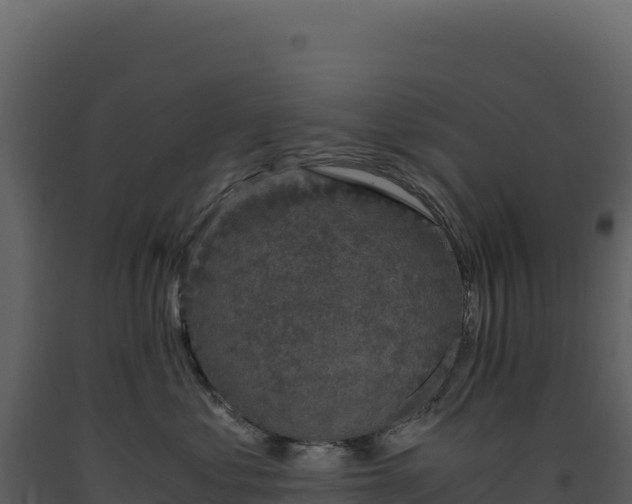 X0000093490621200710191228