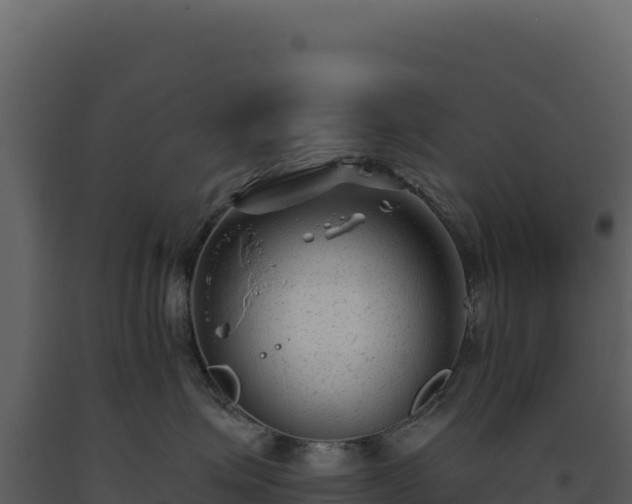 X0000093490623200710191228