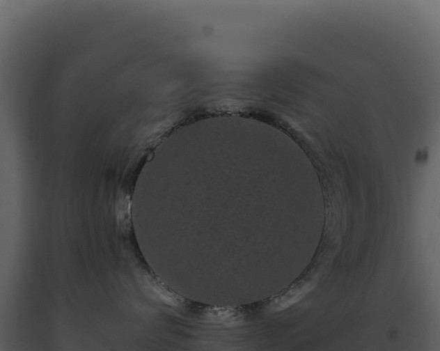 X0000093490624200710191228