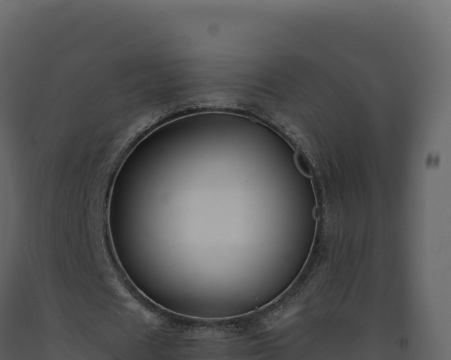 X0000093490625200710191228