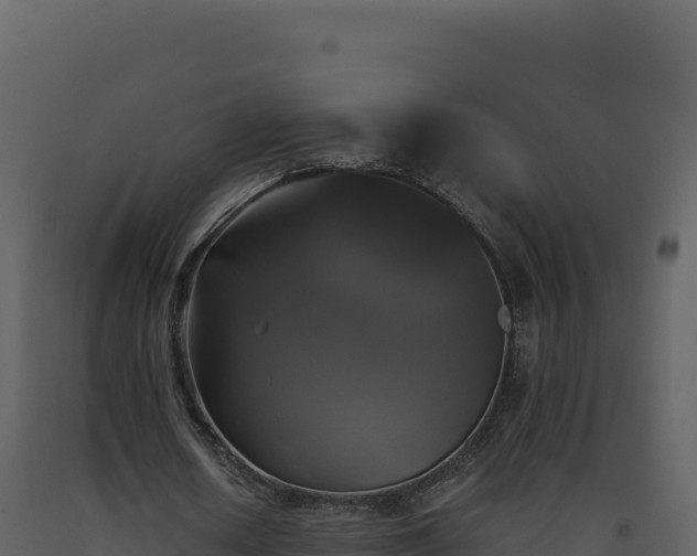 X0000093490626200710191228