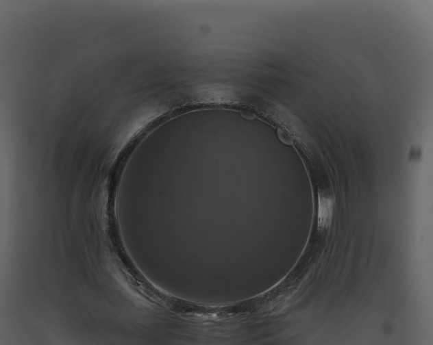 X0000093490627200710191228