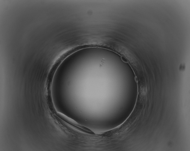 X0000093490628200710191228