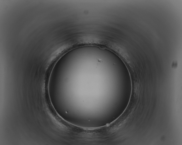 X0000093490629200710191228