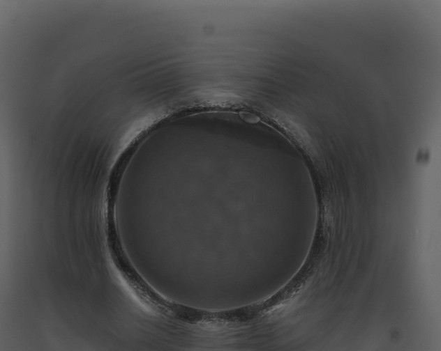 X0000093490630200710191228