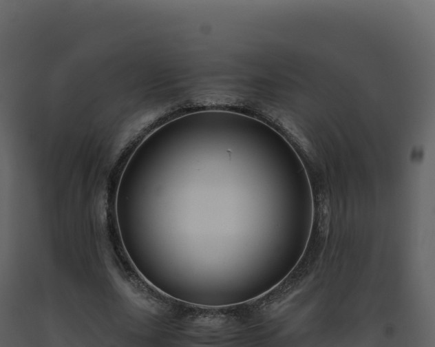 X0000093490631200710191228