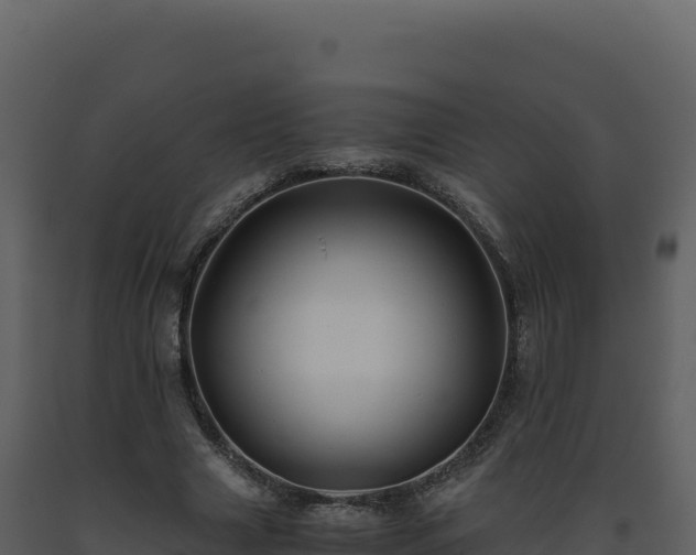 X0000093490633200710191228