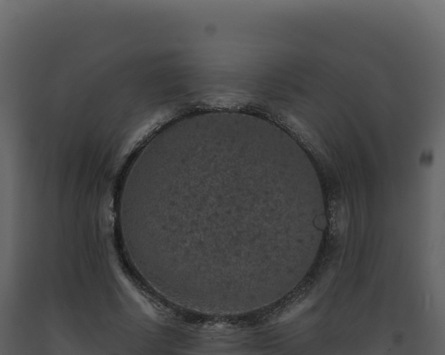 X0000093490634200710191228