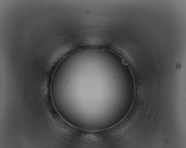 X0000093490635200710191228