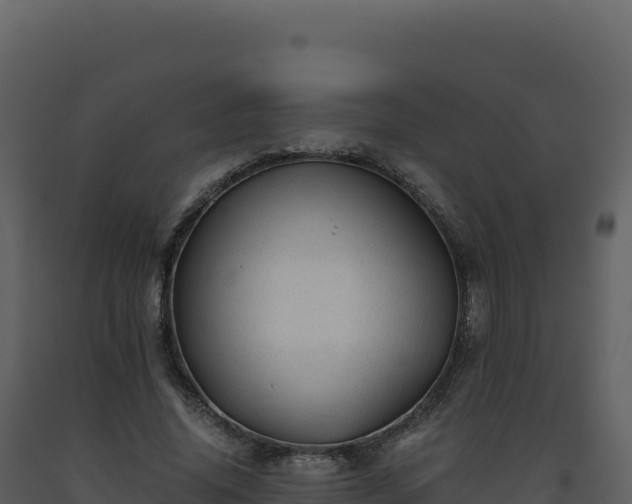 X0000093490636200710191228