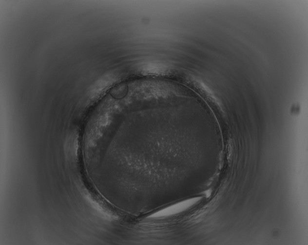 X0000093490637200710191228