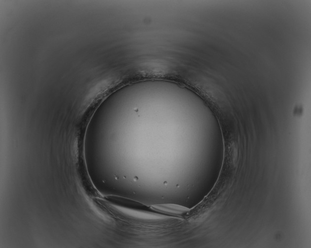 X0000093490638200710191228