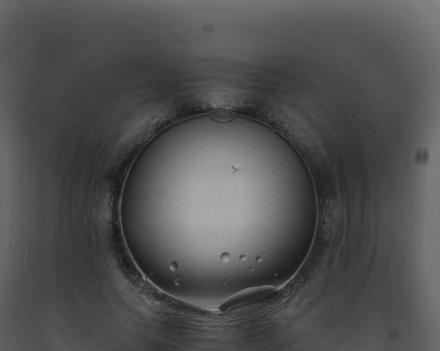 X0000093490639200710191228