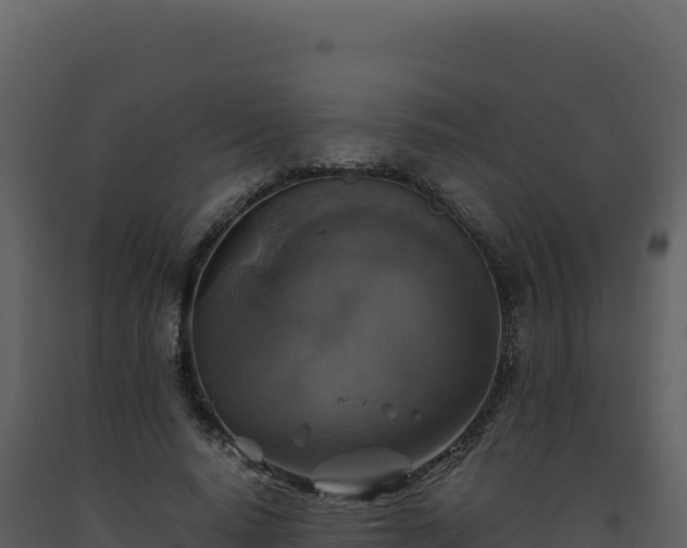 X0000093490640200710191228