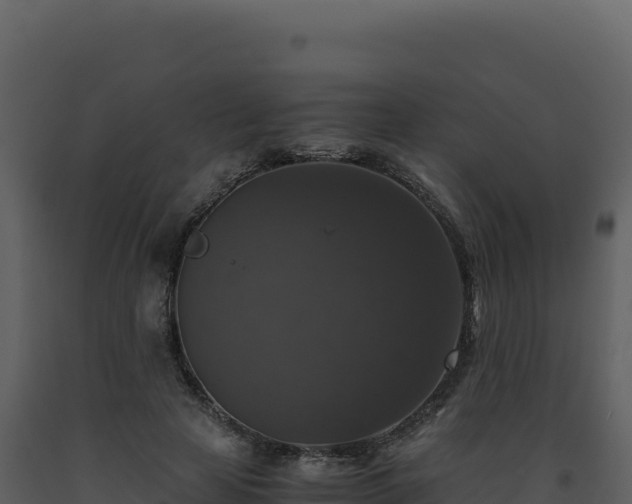 X0000093490641200710191228