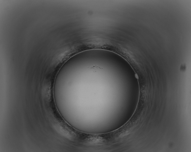 X0000093490642200710191228