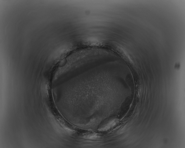 X0000093490643200710191228